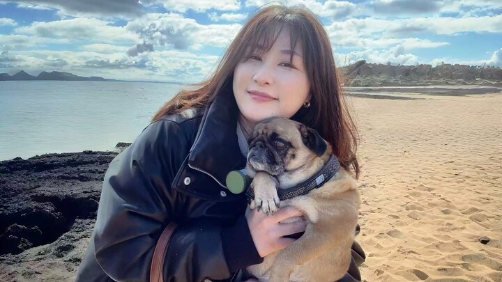 Daughter’s Life in Australia Is a Little Too Good | A Day in the Life of an Aussie Dog