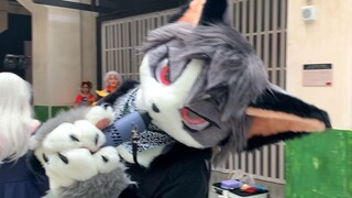 [Fursuit/fursuit] Hãy đến triển lãm truyện tranh với Dragon King ~ Triển lãm trò chơi và hoạt hình T