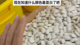 什么颜色最显白