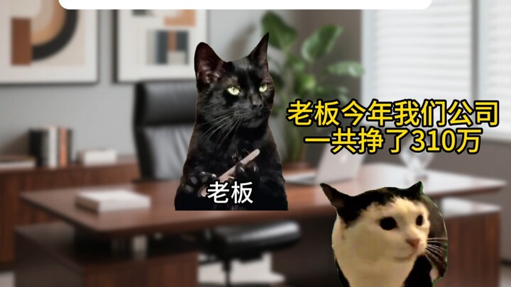 当老板以为公司赚了310万