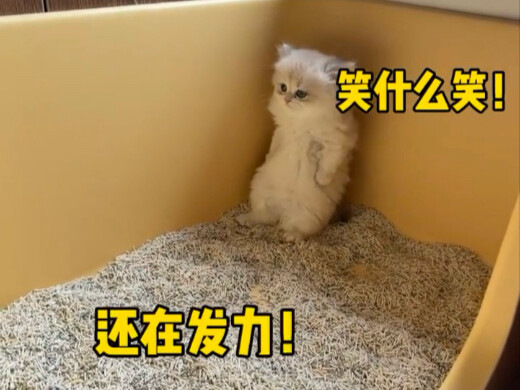 妈妈别闻啦我不要面子的吗
