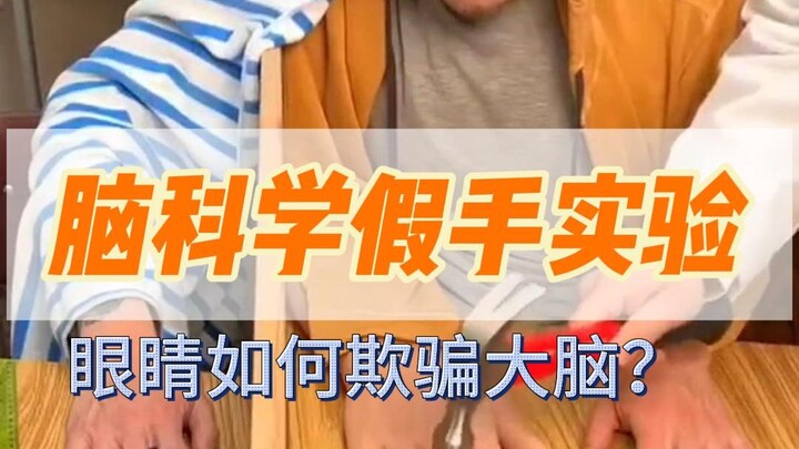 【Terjemahan】Eksperimen Ilmu Saraf: Versi Lengkap Eksperimen Tangan Palsu (Tangan Karet), Apakah yang