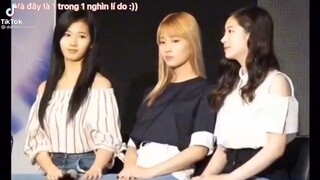 bách hợp cute