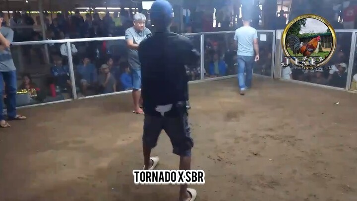 Walang Swerte mga mayahin ngayon mga kahilig! Tornado x sbr and Gilmore Hatch!