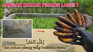 SOSMED EKSPERIMEN: PISANG DAN KOPI menurut ISLAM..