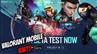 PROJECT M, Plagiatnya Valorant yang sedang VIRAL.. (Intro) | Valorant Indonesia
