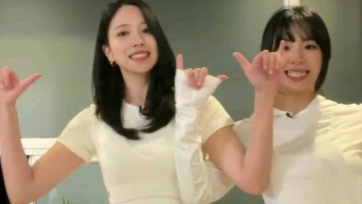 Rabbit Dance Challenge