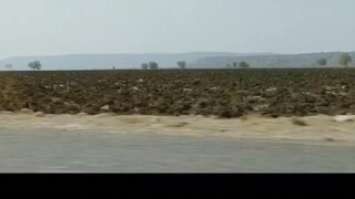 Film India melarikan diri dari desa tanpa kulit bgm: Lendo Calendo
