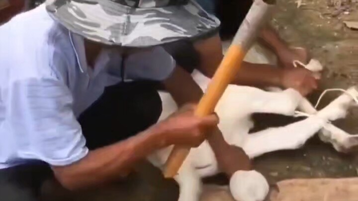 【สัมผัสน้ำตาแห่งท้องทะเล】วิดีโอกำลังโหลด รีบมาเช็กของขวัญสุดพิเศษกันเลย!
