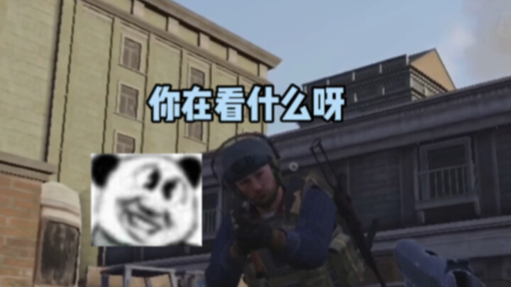 Sayuran Kecil di Ladang, Masing-masing Unjuk Kebolehan