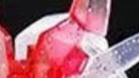 Khả năng có thể của Quái vật thực sự (Không chính xác) [Hàng tồn kho gói phụ kiện HG Core Gun] (Có p