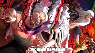 Sức mạnh QUÁI DỊ từng CÁ THỂ Gorosei! *TỞM VÃI ĐẠN* One Piece Chap 1111 Pre