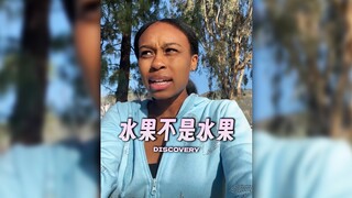 「水果不是水果⁉️」我的知识点被重置了