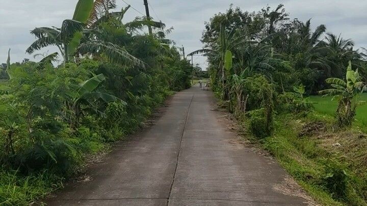 生命的意义，不在于你呼吸的次数，而在于那些让你屏住呼吸的时刻。新的一天！早安！