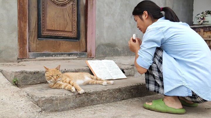 This cat will be way more successful than the one squatting next to it when it grows up!