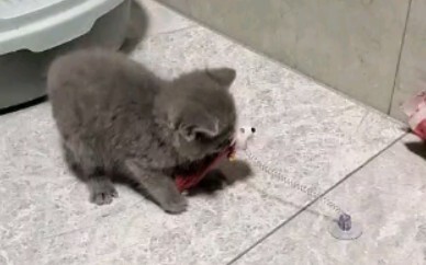 Cái này mạnh quá rồi!!!