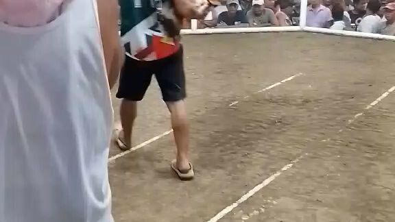 Paldo an Banugon 🐔