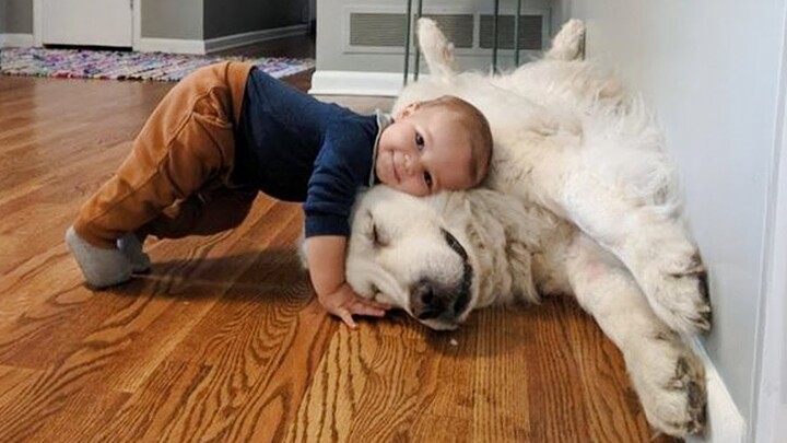 When Dog And His Baby Brother Share Every Milestone Together ❤