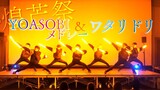 【煌芒祭】YOASOBIメドレー＆ワタリドリ【前ならえペンギン横丁】