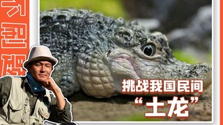 这条土龙你爱了吗？