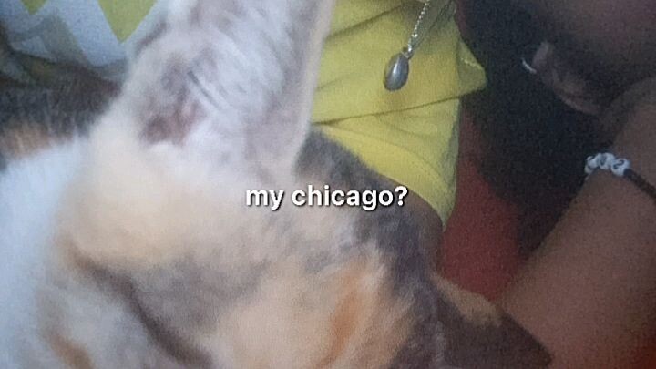 My Chicago