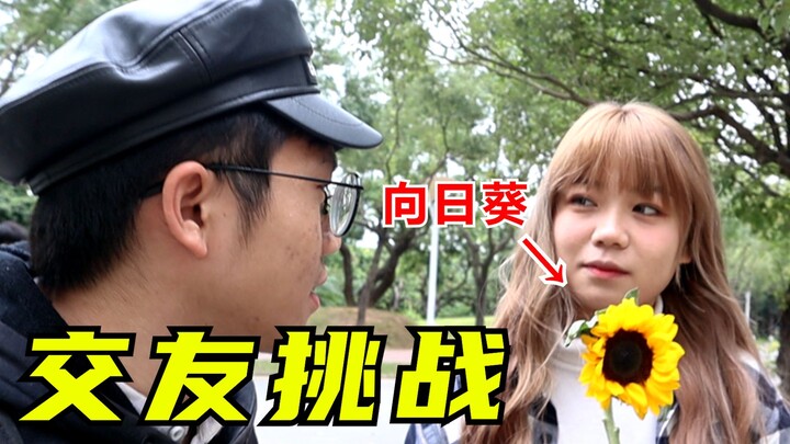 【تحدي التعارف】ماذا سيحدث إذا قدمت لها زهور عباد الشمس في أول موعد مع فتاة؟