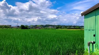 peaceful life