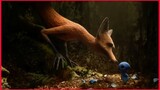 The Fox And Bird / CGI Short Film.