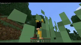 ini video minecraft survival 3