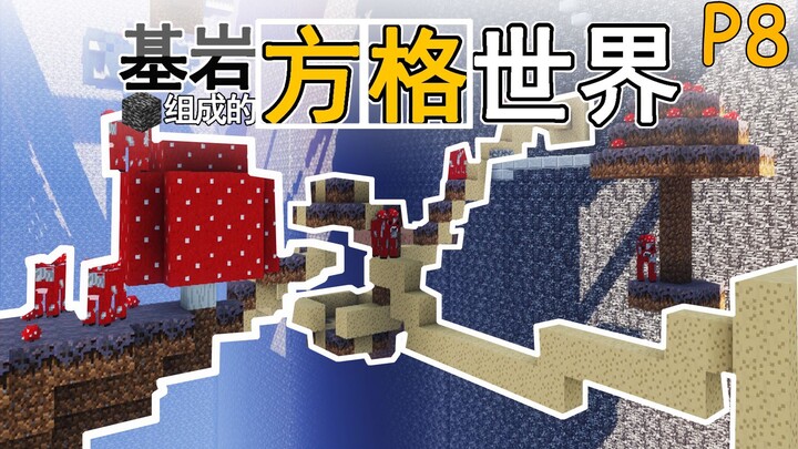 逃离这里！基岩组成的方格世界 P8【我的世界】