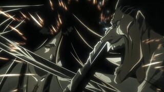 Unohana vs zaraki kenpachi | full fight