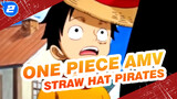 [One Piece AMV / Epic] The Story of Straw Hat Pirates_2