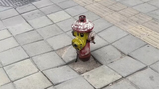 自从没了素质，整个人开心多了