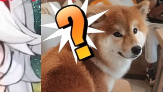 Woomi: แพ้เรื่องทะเลาะกับหมาเหรอ? - ทำไมคุณไม่แต่งงานกับเขาล่ะ?