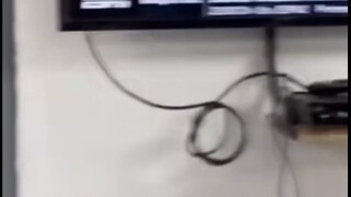 Truly top-notch visual search