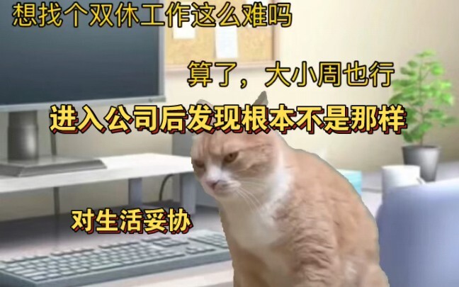 A Gen Zer in Hangzhou landed a dream job with no overtime, weekends off, five social insurances and 