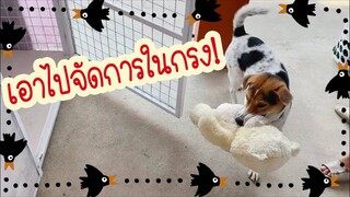 โลกของแสนดี ตอน ลาก่อนหมีขาว