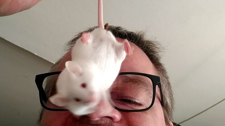 pet mouse and a dumb me