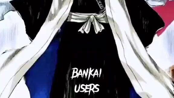 user bankai