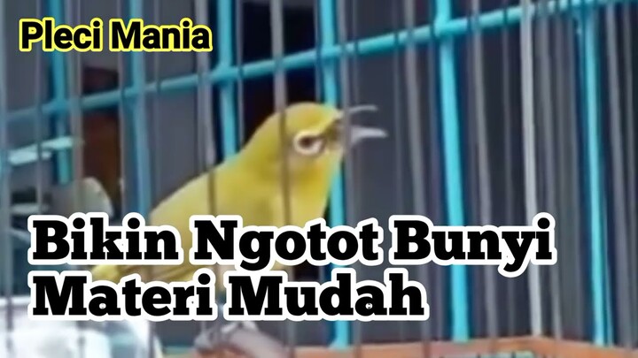 Pancingan Bahan Langsung nyaut Ikutan Nembak!!!
