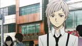 [Bungo Stray Dog] It's Dr. Sen's turn to brainwash you, also known as: A mafia boss is obsessed with