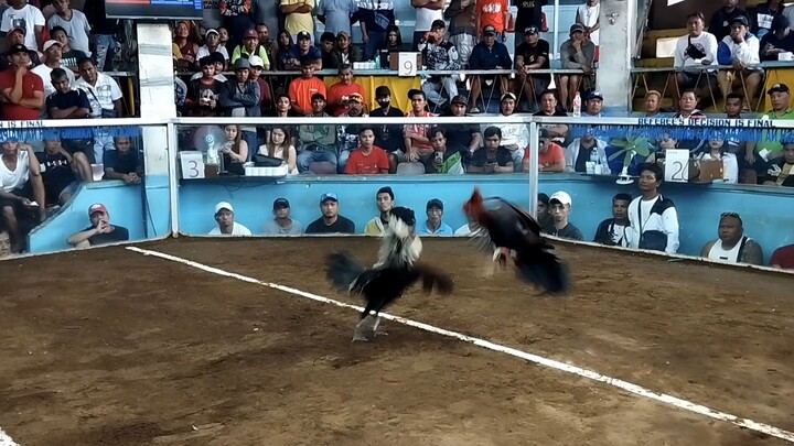 1st fight Win tayo - Lipa cockpit arena