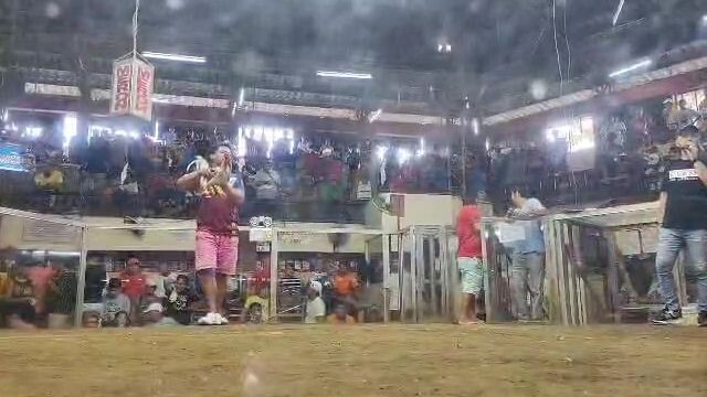 1st Fight Win, 2 Hits Ulutan 10-31-25, Champion