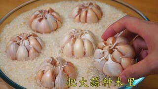 Hôm nay mới biết, cho vài nhánh tỏi vào gạo lại có tác dụng tuyệt vời đến vậy, tiết kiệm được kha kh