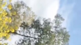 The Sepia Collection Before the Fall of Avadivka: From Anti-Russia to Anti-Intellectual to Anti-Chin