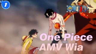 [One Piece AMV] Wia / TVXQ! Ver_1