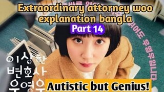 Extraordinary attorney woo episode 14 explain Bangla || Kdrama Explanation || Romantic comedy