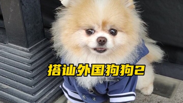 How Happy Is a Social Butterfly Who Loves Dogs Living in London? (Part 2)