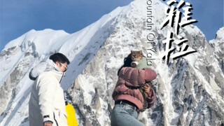 It's so lucky to take cats to climb snow mountains