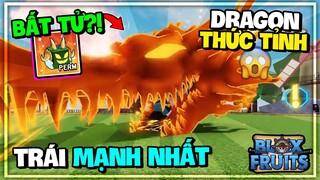 Roblox - Mình Sở Hữu DRAGON V2 Nhờ Lỗi Bug Này Trong Blox Fruits